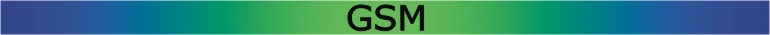 GSM